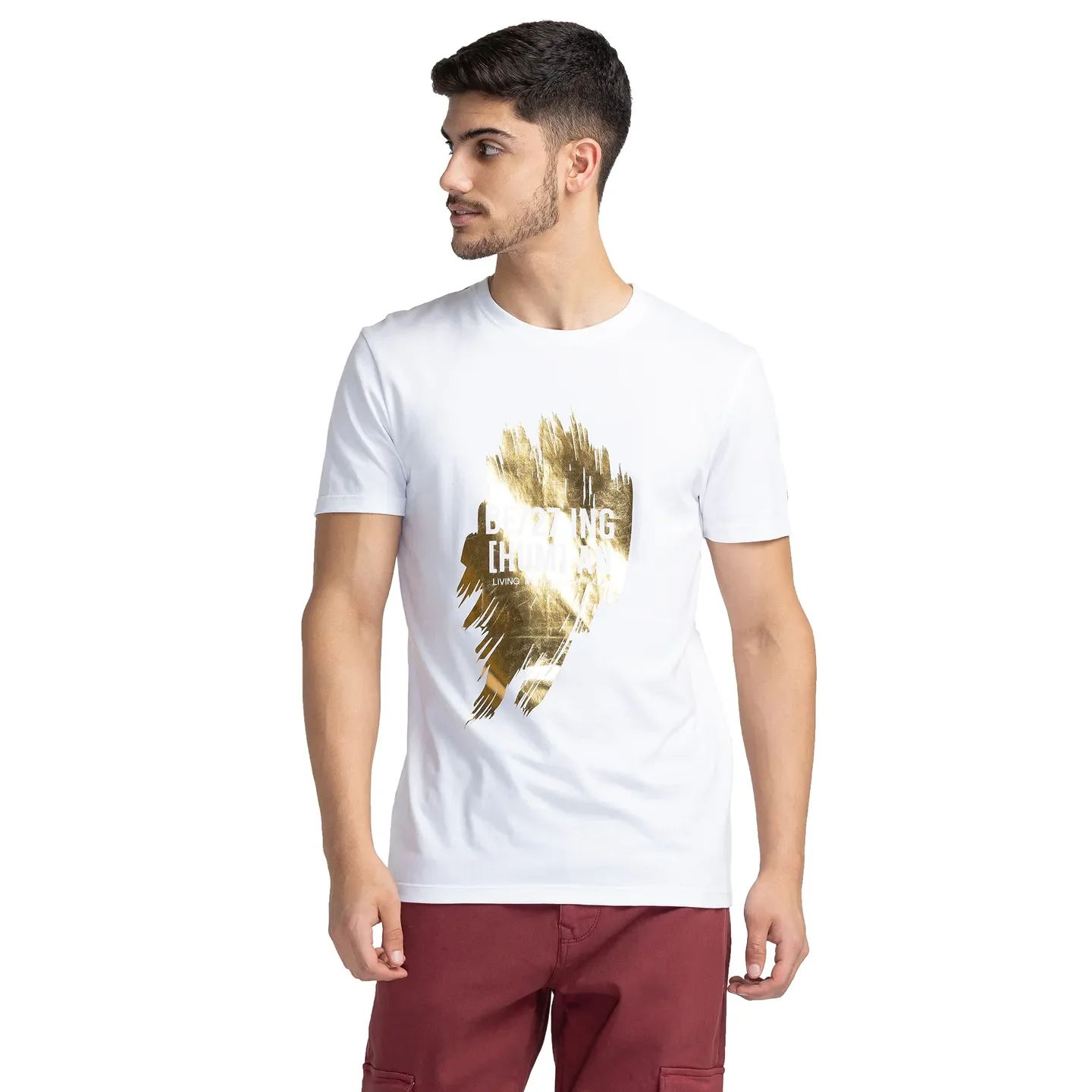 White Regular Fit Men's Short Sleeves T-Shirt by Being Human Clothing