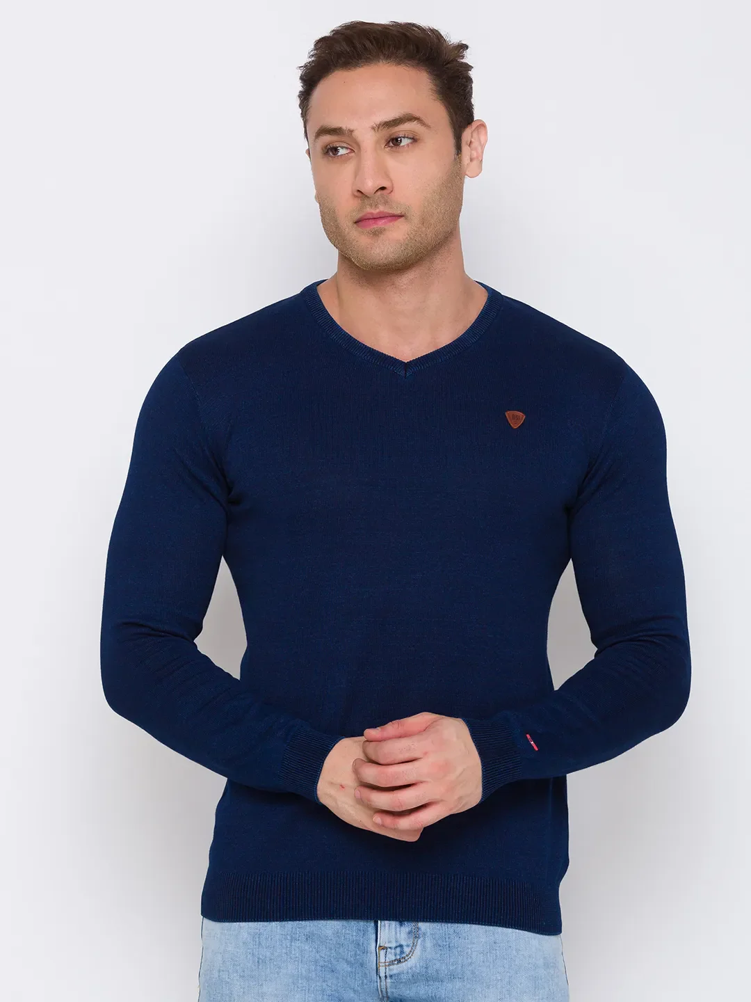Blue Regular Fit V Neck Long Sleeves Cotton Men's Sweater by Being Human Clothing
