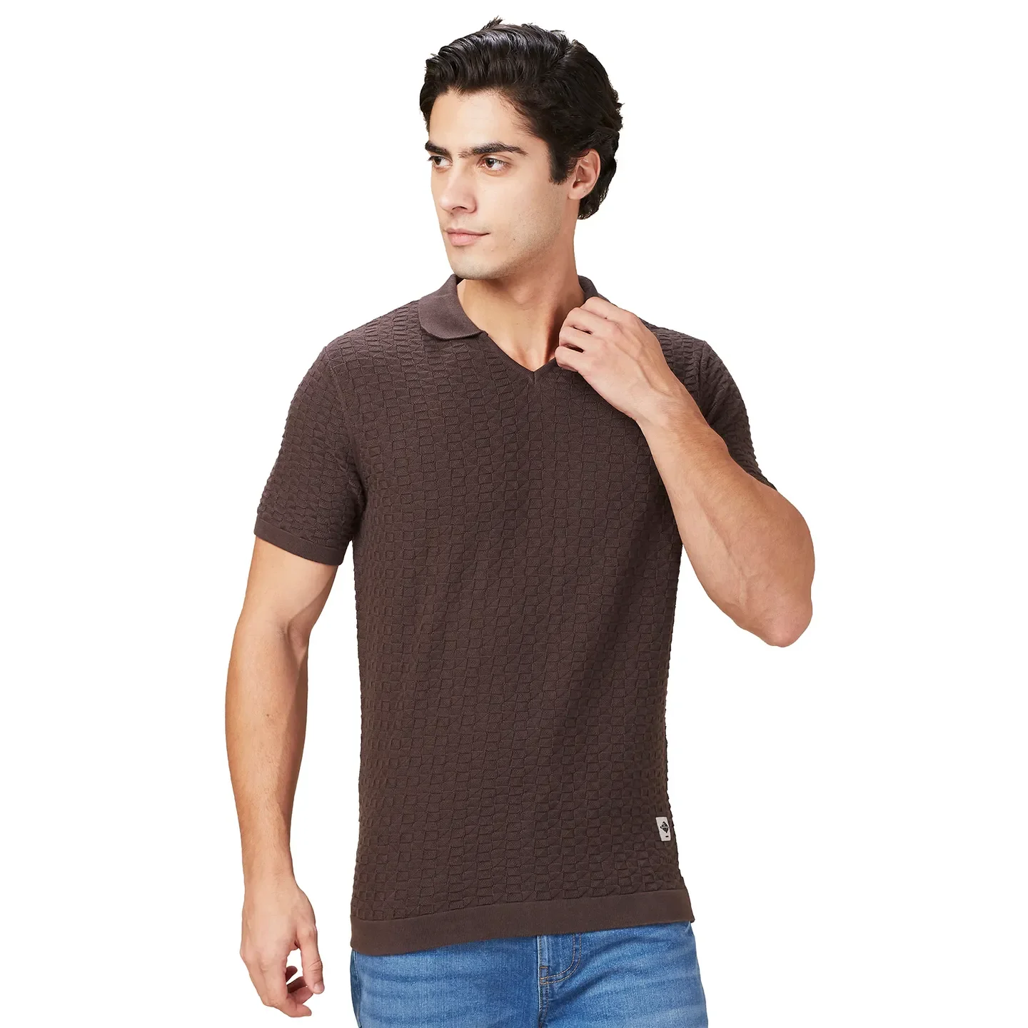 Brown Regular Fit Men's Polo T-Shirt by Being Human Clothing