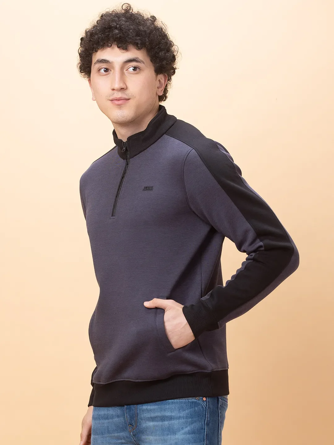 Purple Regular Fit High Neck Long Sleeves Men's Sweatshirt by Being Human Clothing - Image 4