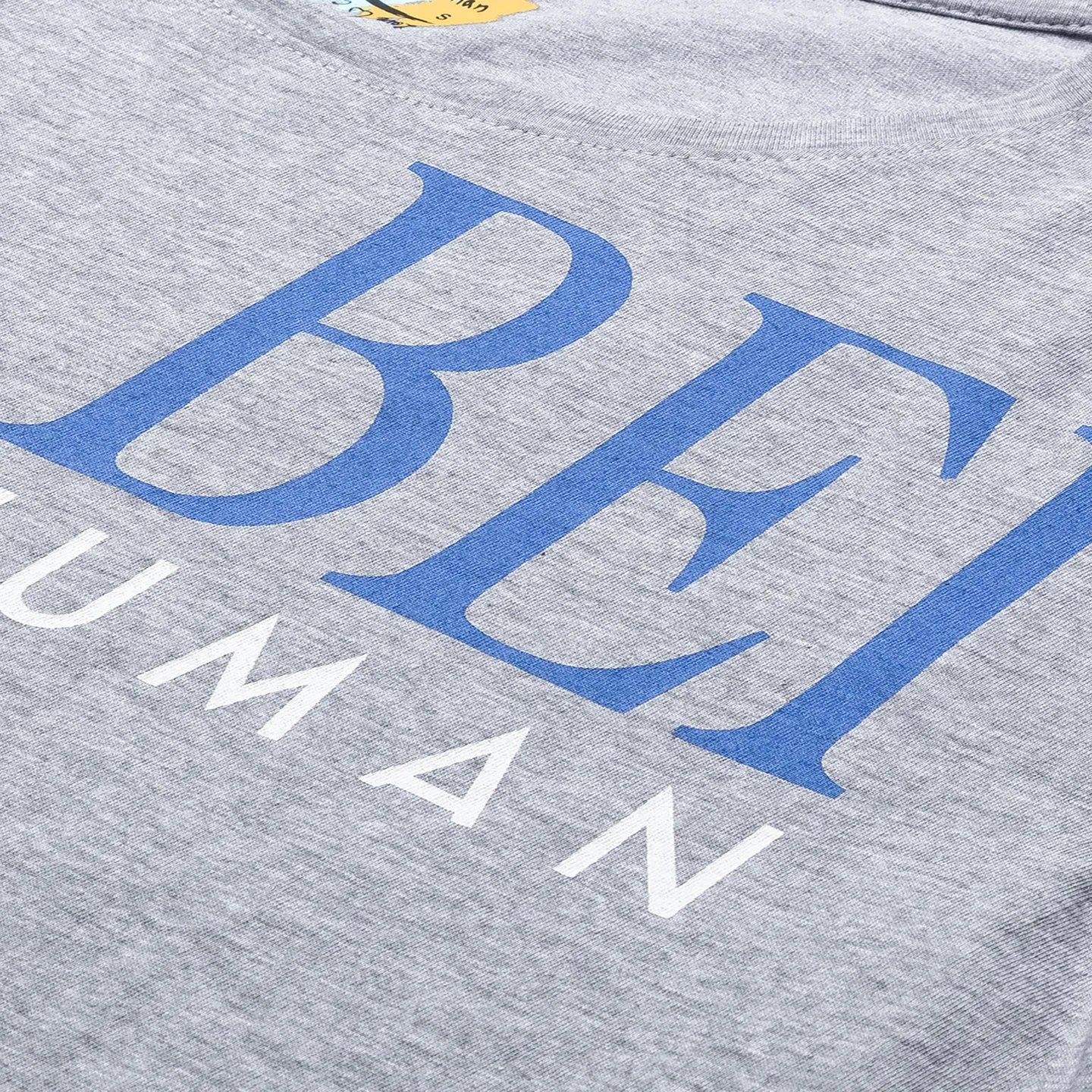 Grey Boxy Fit Women's Cotton T-Shirt By Being Human Clothing - Image 6